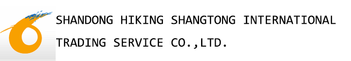 Organizational Structure_Shandong Hiking Shangtong International Trading Service Co., LTD
